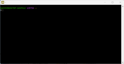 Msys_6